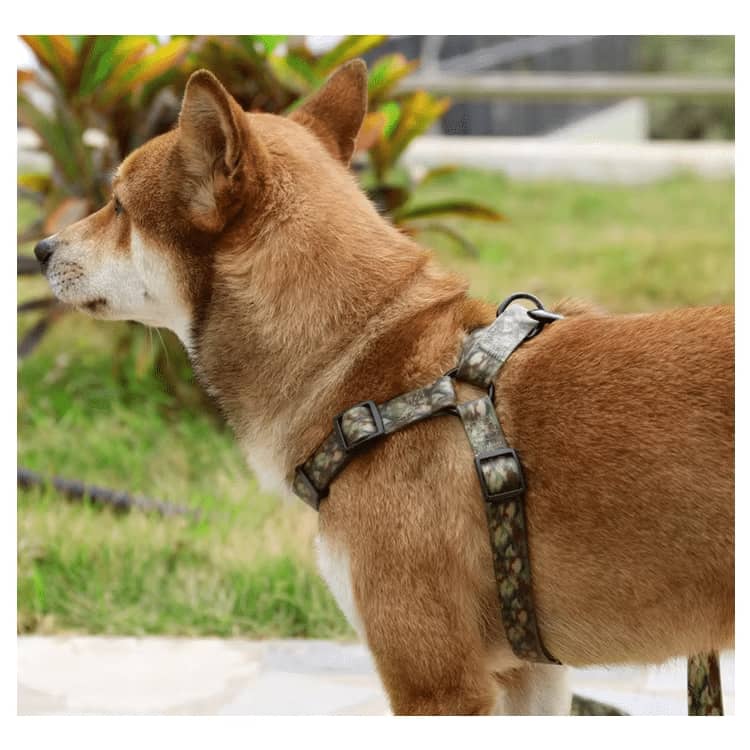 chew resistant dog harness